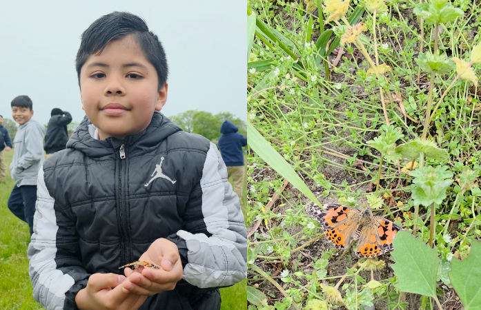  Student holding butterfly and closeup of a butterfly